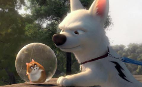 افلام كرتون